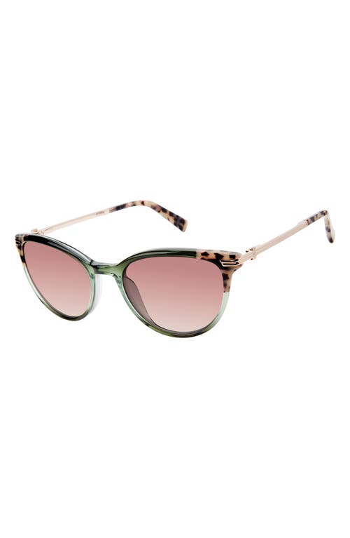 Ted Baker 52mm Round Sunglasses
