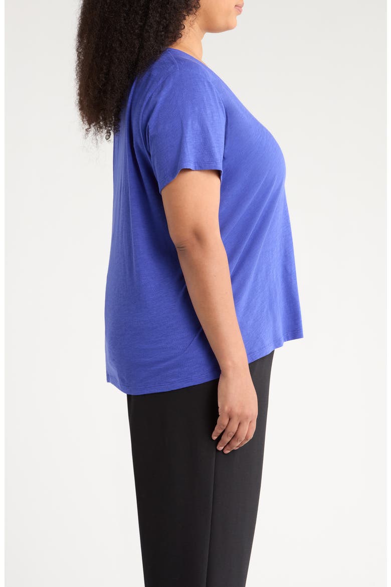 Easy V-Neck Organic Cotton Slub T-Shirt, Alternate, color, ROYAL