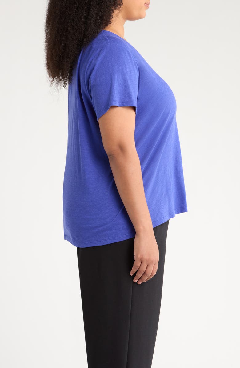Eileen Fisher Easy V-Neck Organic Cotton Slub T-Shirt, Alternate, color, Royal