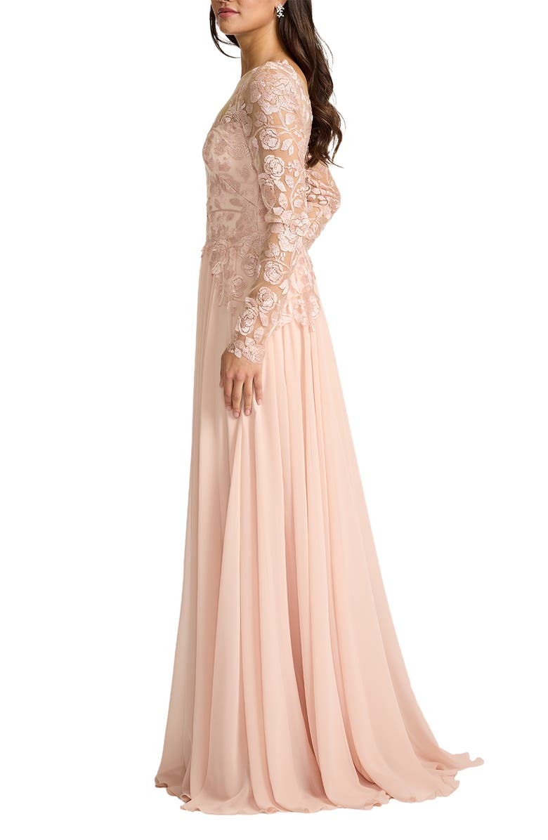 Tadashi Shoji Illusion Lace Embroidered Sleeve Gown, Alternate, color, Pale Pink