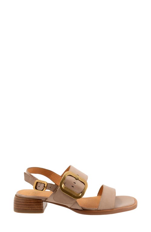 Eos Footwear Tegan Block Heel Sandal In Taupe