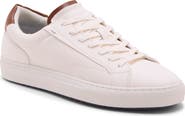 Steve Madden P-Xylan Sneaker