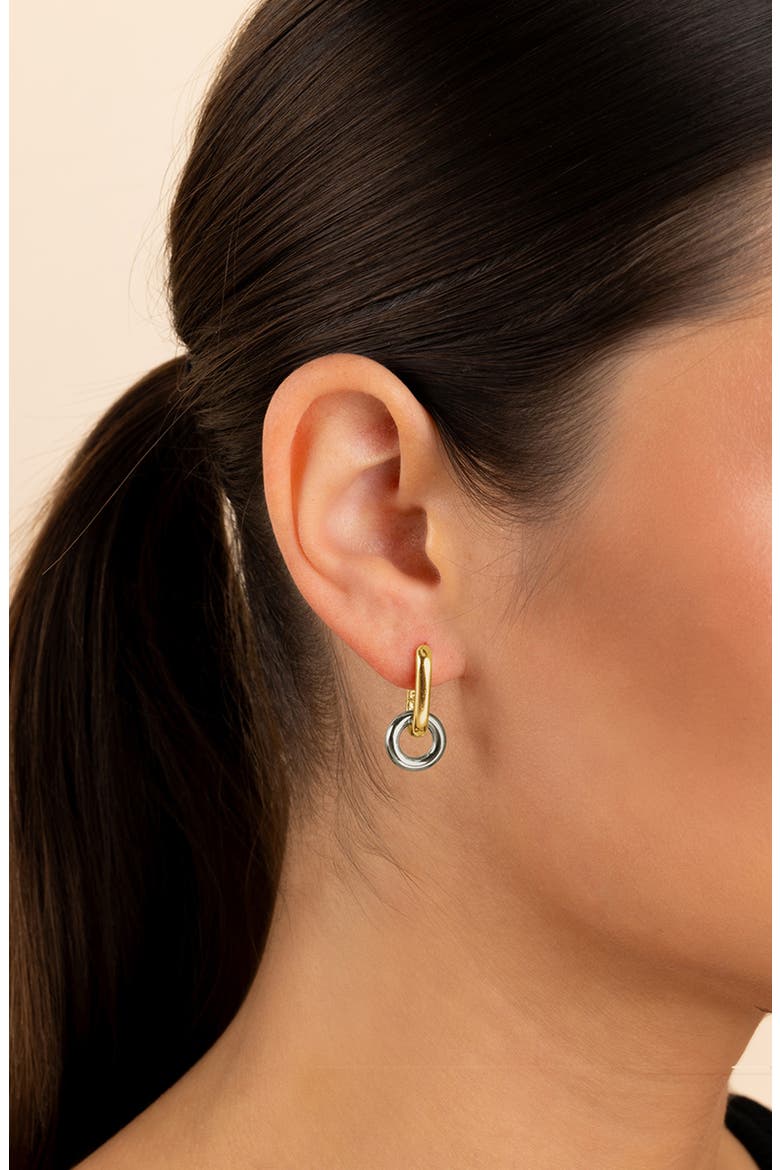 Justyna Mixed Metal Dangle Hoop Earrings, Alternate, color, DUALTONE