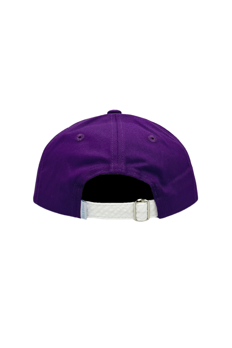 TCU Horned Frogs Baseball Hat, Alternate, color, Purple