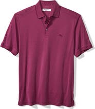 Tommy Bahama Bay Stripe IslandZone® Performance Polo