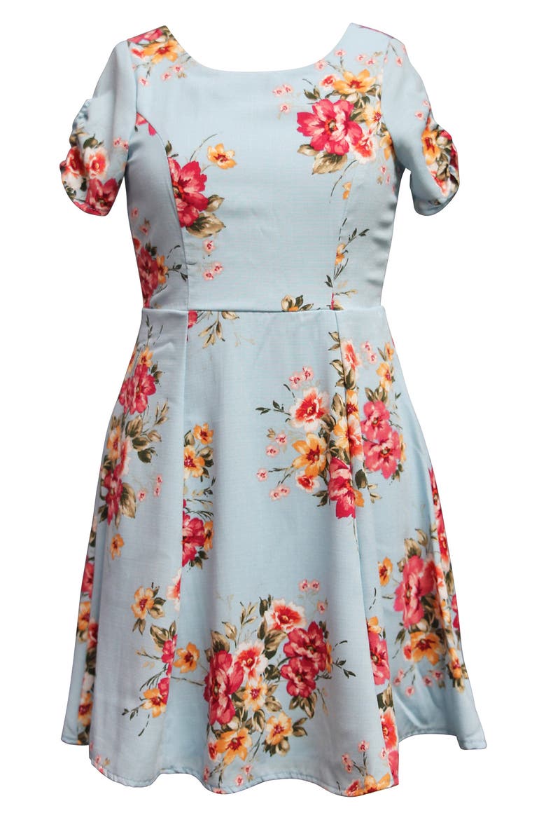 Floral Print Skater Dress, Main, color, BLUE