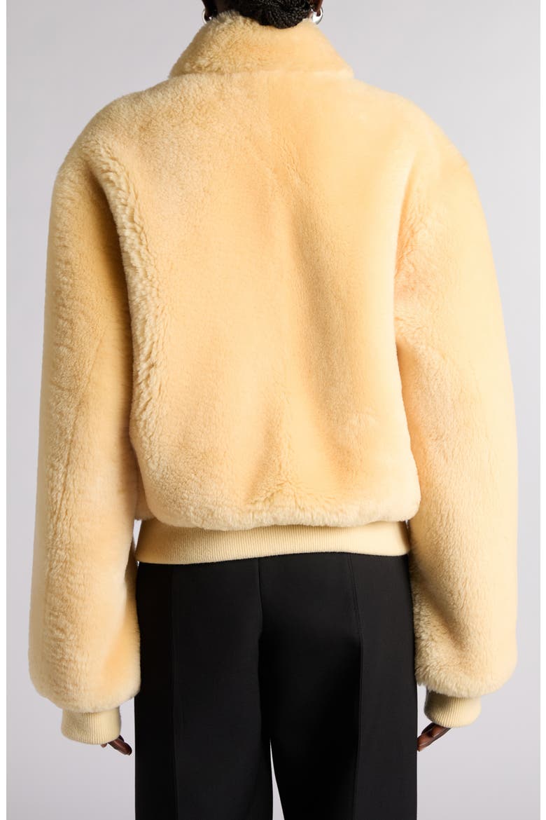 Genuine Shearling Blouson Jacket, Alternate, color, 9311 BUTTER