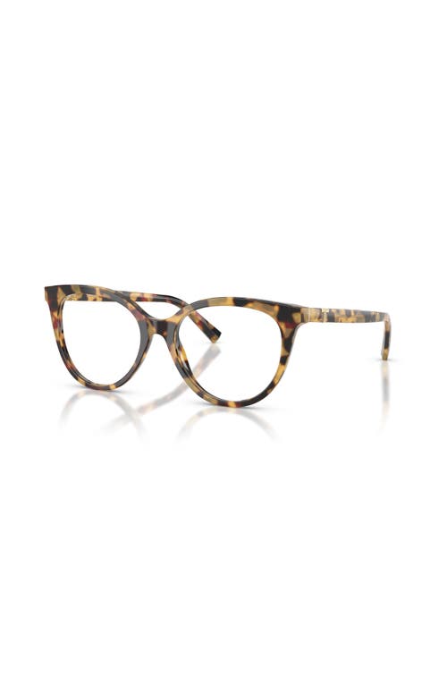 Tiffany & Co . 53mm Cat Eye Optical Glasses In Brown