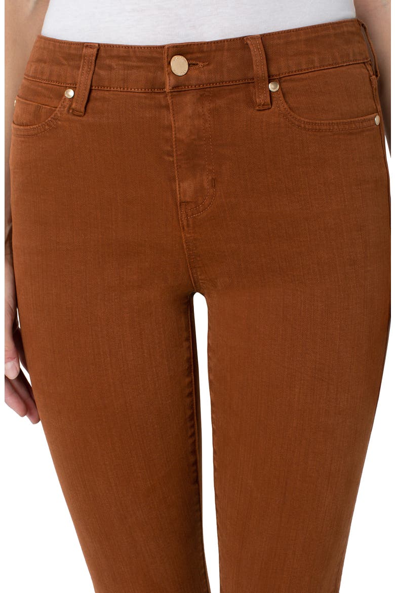 Abby Skinny Pants, Alternate, color, CINNAMON