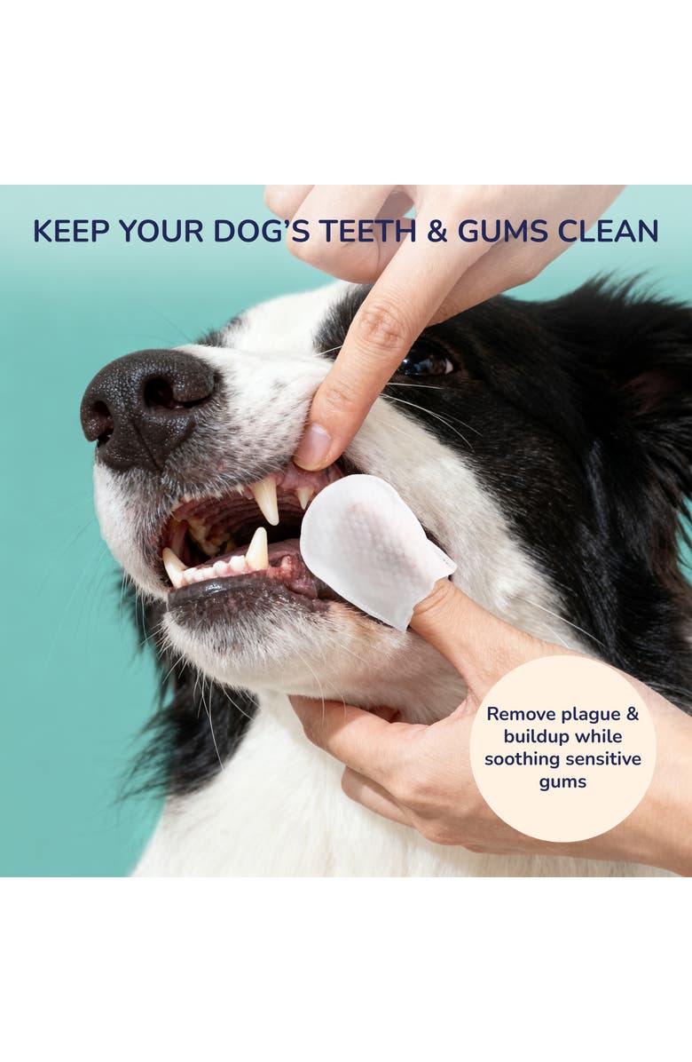 The Licker Store Hypoallergenic Dog Dental Finger Wipes with Aloe, Coconut Oil & Honey, Alternate, color, Mint Scented -1Pack (60 Ct)