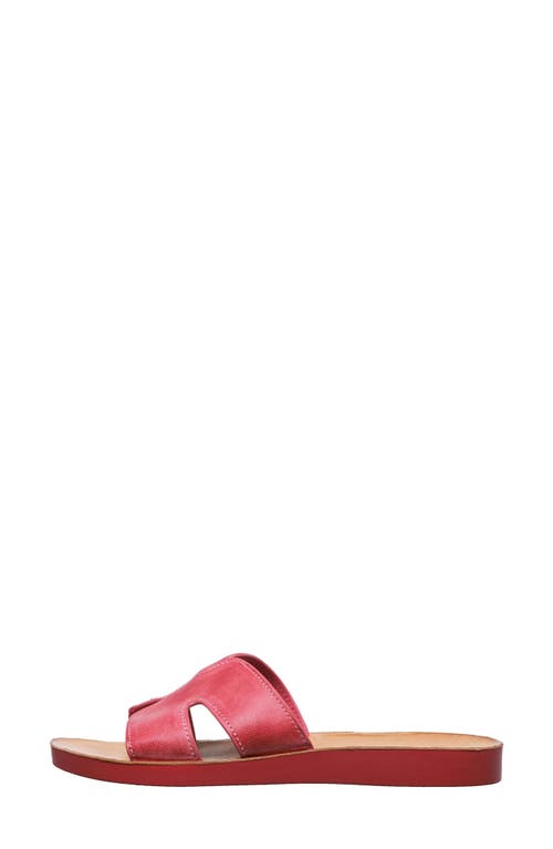 ANTELOPE ANTELOPE ALEX SLIDE SANDAL 