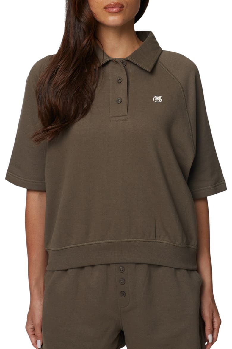Boxy-Fit Raglan Sweat Polo, Main, color, Brown