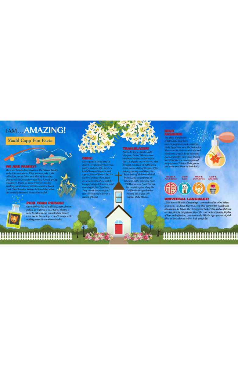 Madd Capp LILY 350 Piece Jigsaw Puzzle, Alternate, color, Multicolored