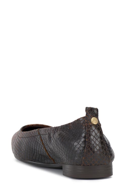 Vince Camuto Ashleah Pointed Toe Flat