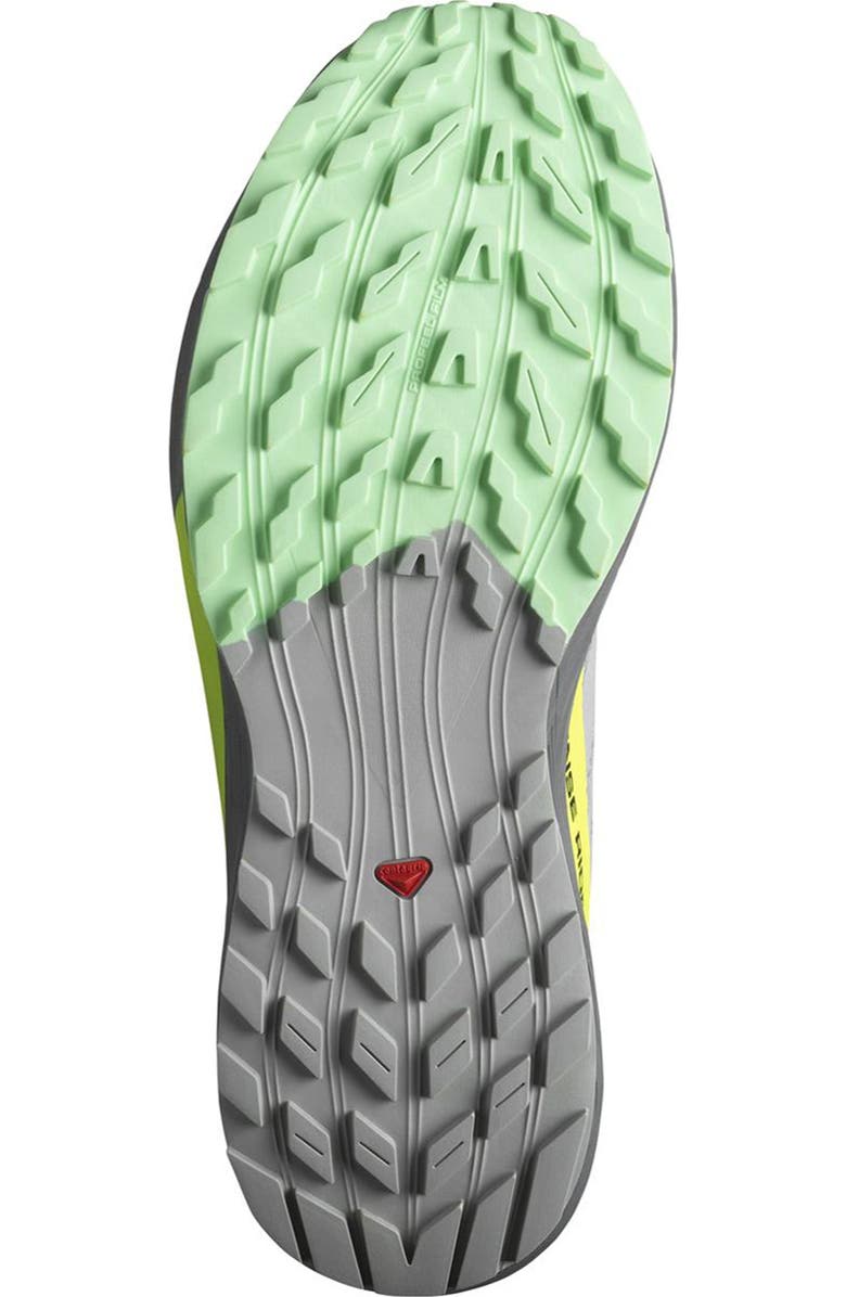 Salomon Sense Ride 5 Running Shoe, Alternate, color,