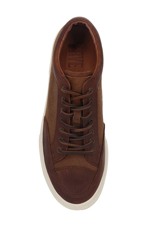 Frye Hoyt Low Water Resistant Sneaker In Brown