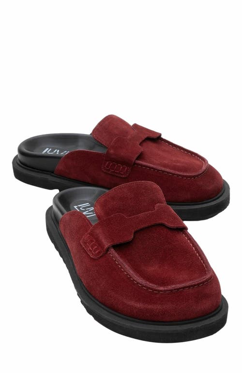 Forever & Always Shoes Laven Suede Leather Clogs in Burgundy Suede Leather at Nordstrom, Size 9