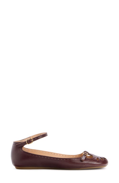 Chloé Chloe Misty Cut-out Leather Ballet Flats In Animal Print