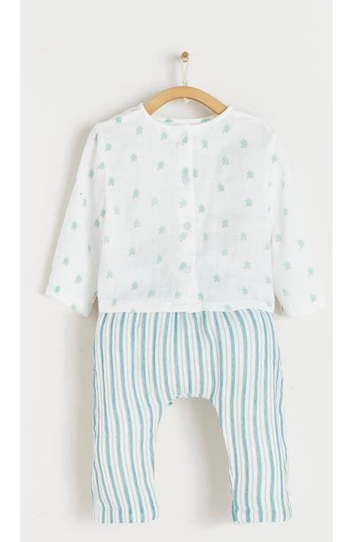 Babycottons Noah Muslin Set In Multicolor