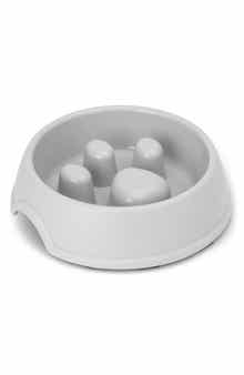 Core Home Slow Feeder Pet Food Bowl