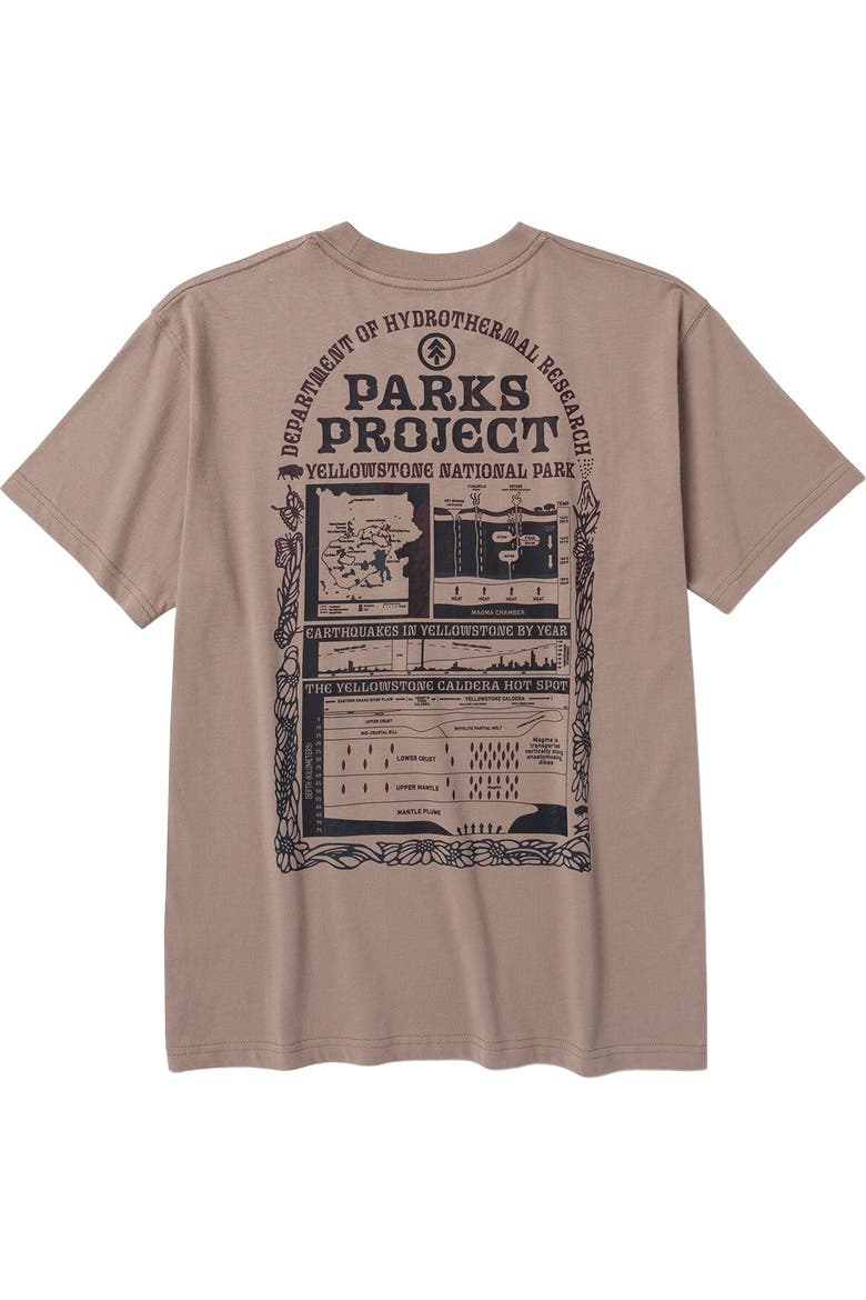 Hydrothermal Study T-Shirt, Main, color, Mushroom Grey