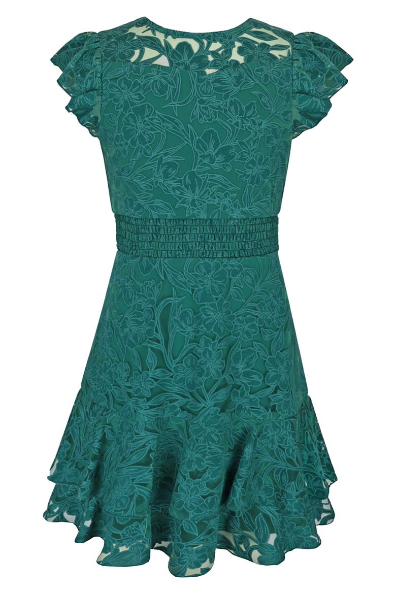 Kids' Burnout Lace Overlay Party Dress, Main, color, HUNTER