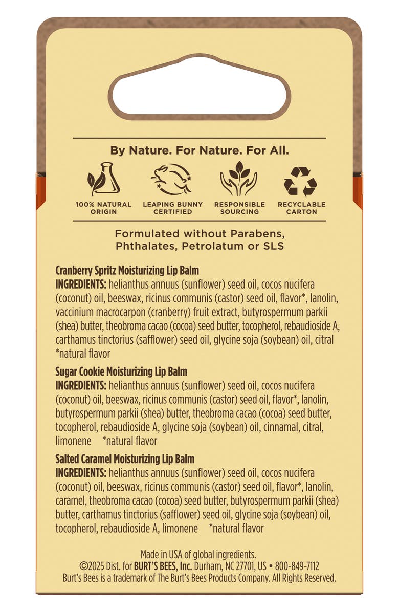 Burt's Bees Cozy Seas Assorted Lip Balm Gift Set, Alternate, color,