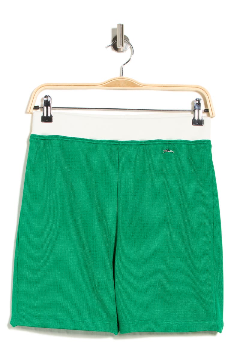 Longchamp Shorts, Alternate, color, Grass