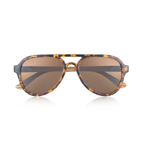 Shop Earth Wood Mazatlan Polarized Sunglasses