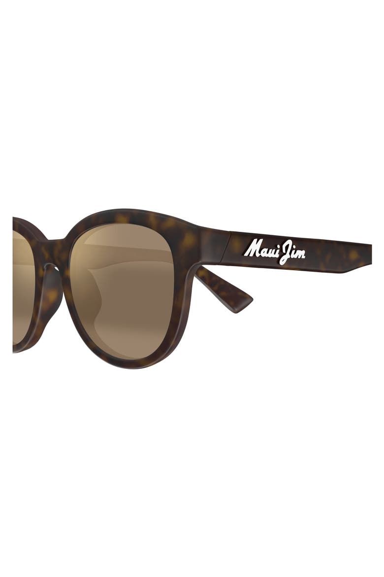 Ihupani AF 53mm PolarizedPlus2® Round Sunglasses, Alternate, color, BROWN