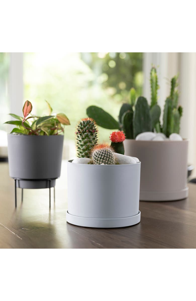 Bloem Misty Mathers Planter with Saucer Tray  6 Inch, Alternate, color, Blue