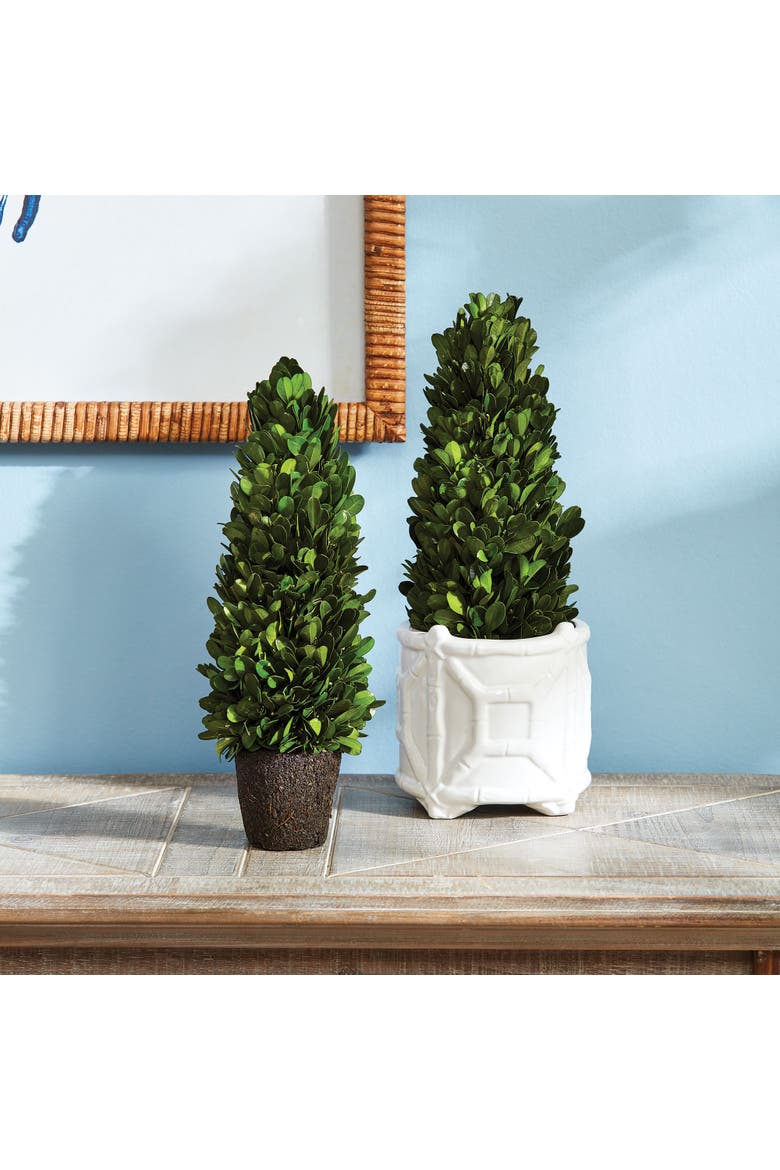 Boxwood Cone Topiary Drop-In 12", Alternate, color, Green