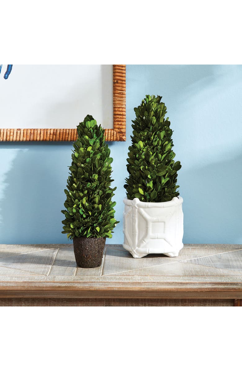 Napa Home & Garden Boxwood Cone Topiary Drop-In 12", Alternate, color, Green