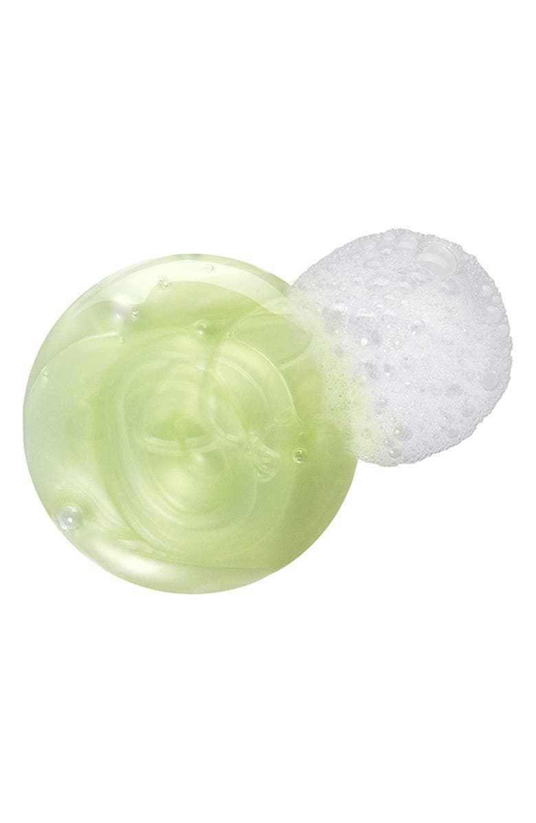 PHYTO neutre Clarifying Detox Shampoo, Alternate, color,