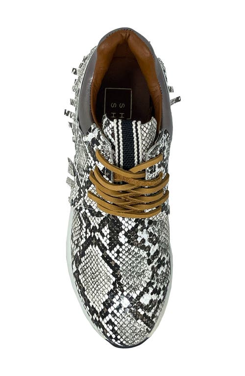 Shushop Pepa Snake Embossed Sneaker In Brown Snake