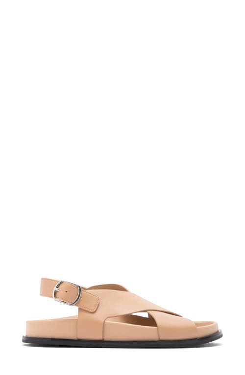 Nordstrom Rack Earhart Slingback Sandal In Tan Light