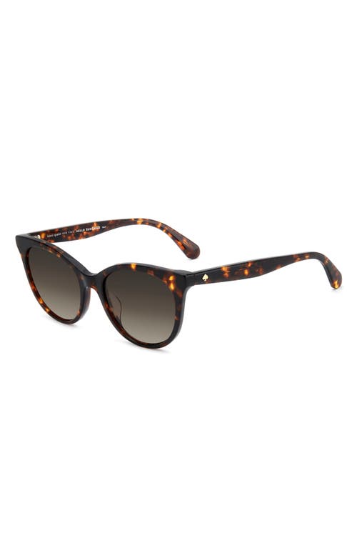 Kate Spade New York Karlee 53mm Gradient Round Sunglasses