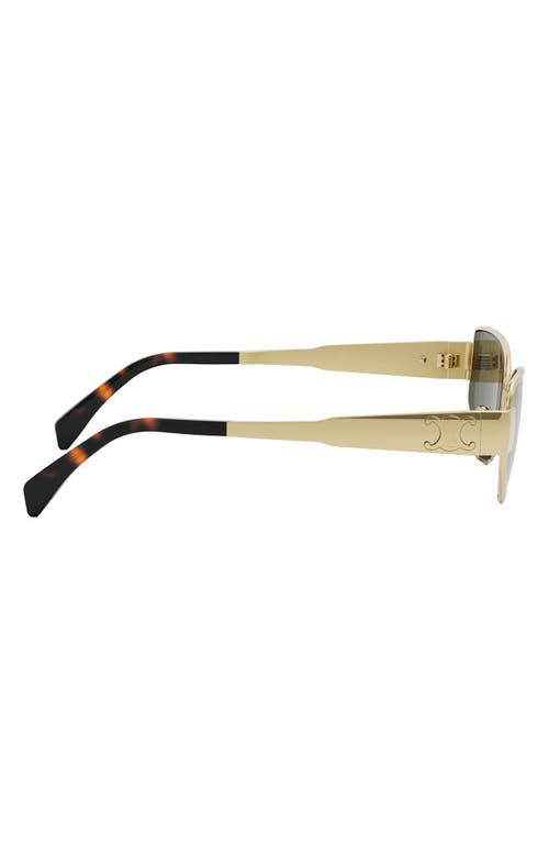 Celine Triomphe 55mm Cat Eye Sunglasses In Multi