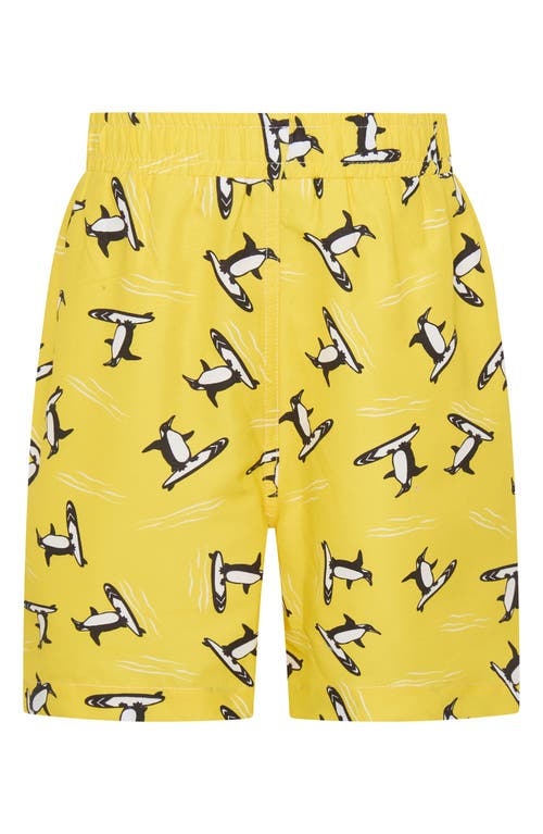 DOT AUSTRALIA DOT AUSTRALIA KIDS' PENGUIN SWIM TRUNKS