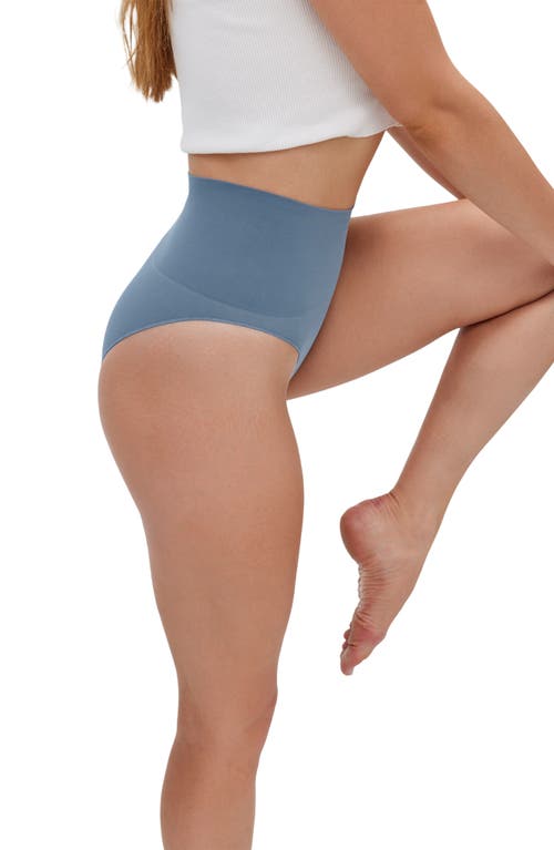 Noodyskin Seamless Scuplt High-waisted Panties