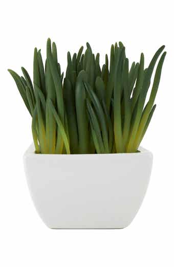 GINGER BIRCH STUDIO Green Faux Foliage Artificial Potted Plant