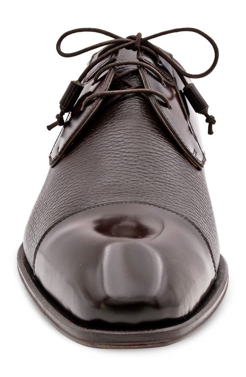 Mezlan Capello Cap Toe Derby In Brown
