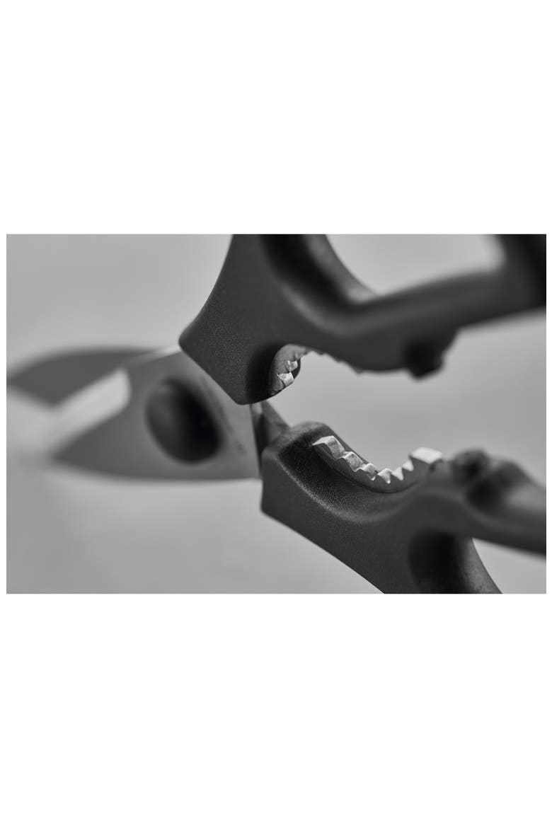 Pull-Apart Kitchen Shears, Alternate, color, BLACK