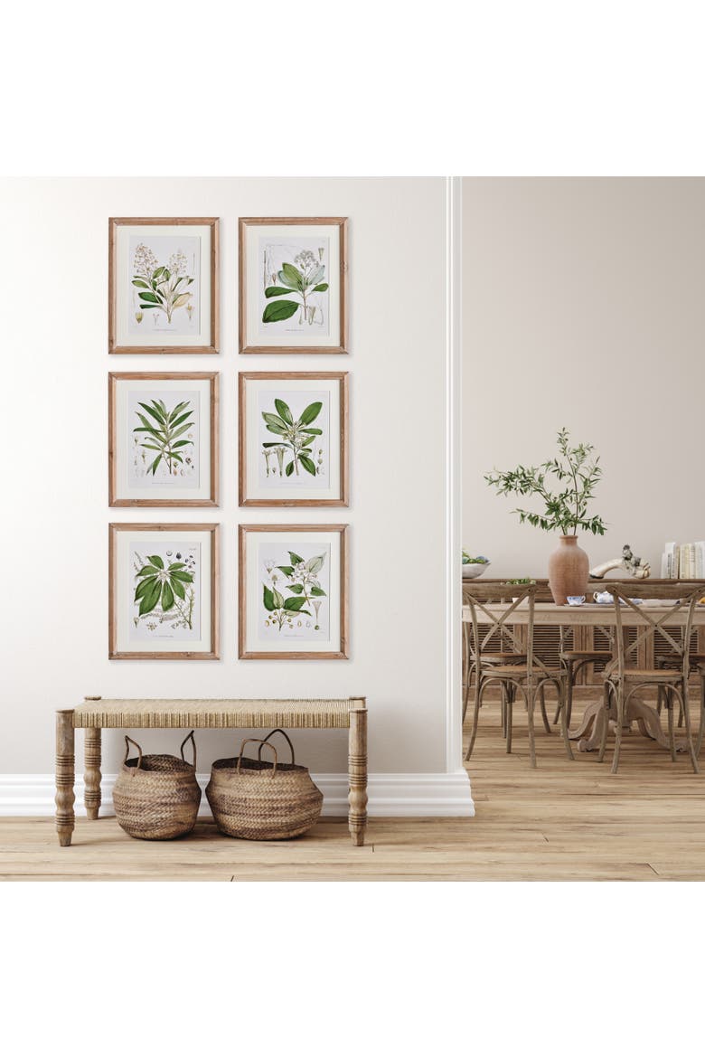 Classic Flower And Leaf Study Framed Wall Art Set of 6, Alternate, color, Green