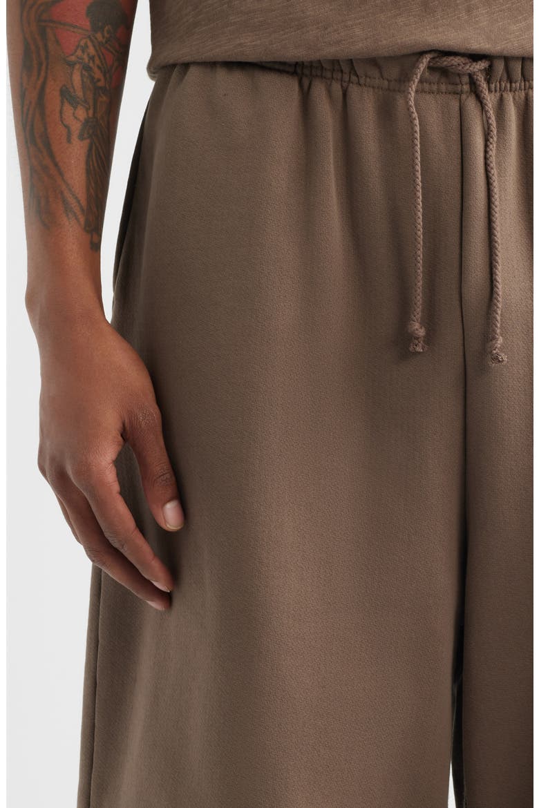 Core Big Sweatshorts, Alternate, color, VINTAGE BROWN
