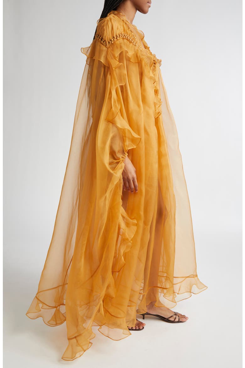 Balance Braided Trim Semisheer Silk Organza Gown, Alternate, color, TAN