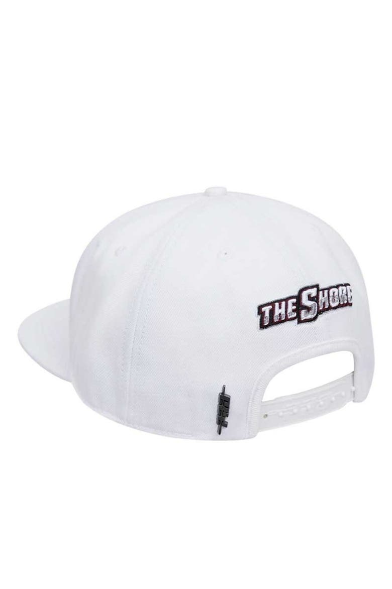 Men's Pro Standard White Maryland Eastern Shore Hawks Mascot Evergreen Wool Snapback Hat, Alternate, color, White