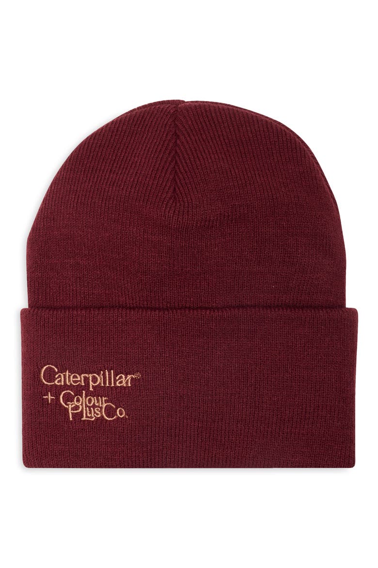 Basic Beanie, Main, color, TAWNY PORT
