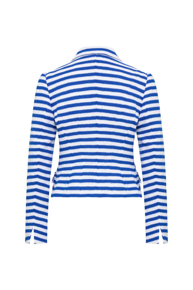 Striped Jersey Jacket, Alternate, color, Blue / White