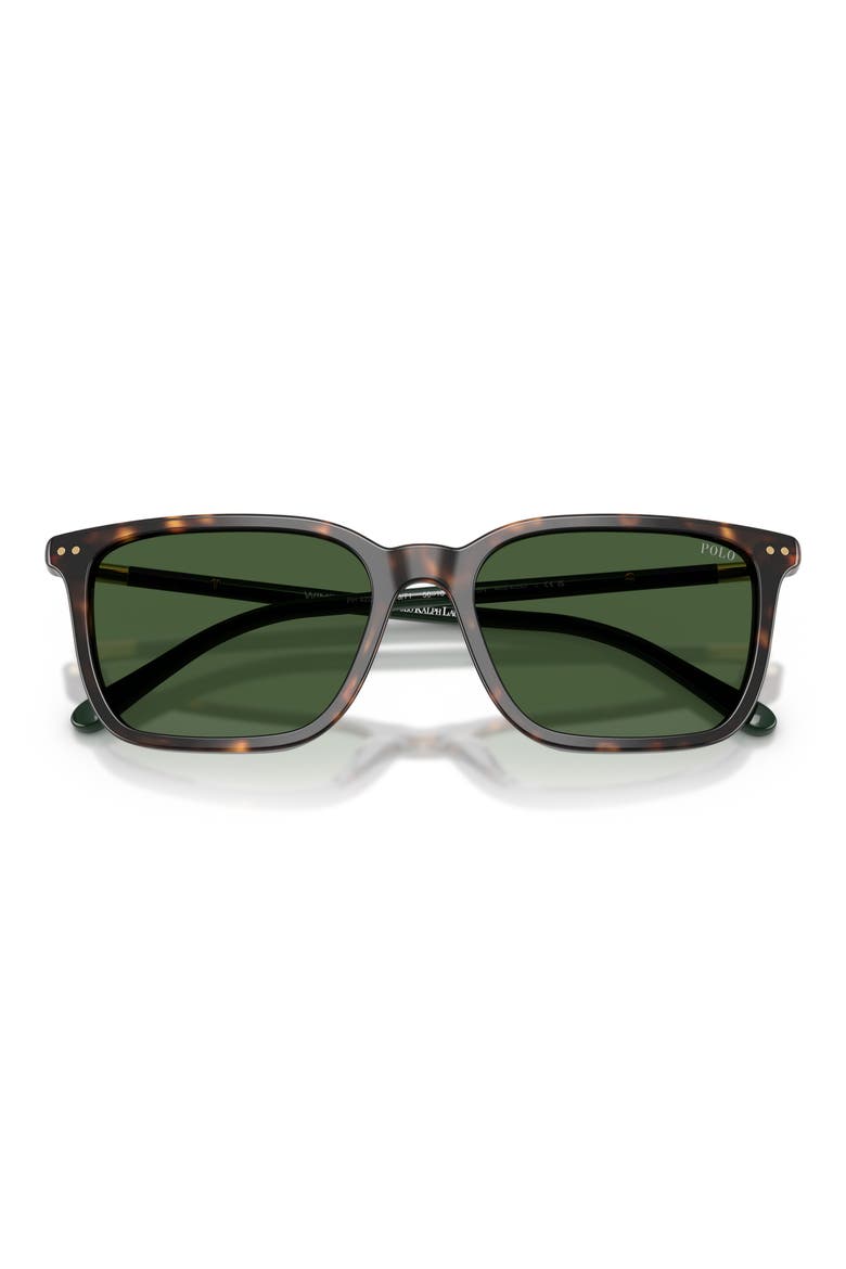 PH4226 56mm Pillow Sunglasses, Alternate, color, DARK HAVANA / BOTTLE GREEN